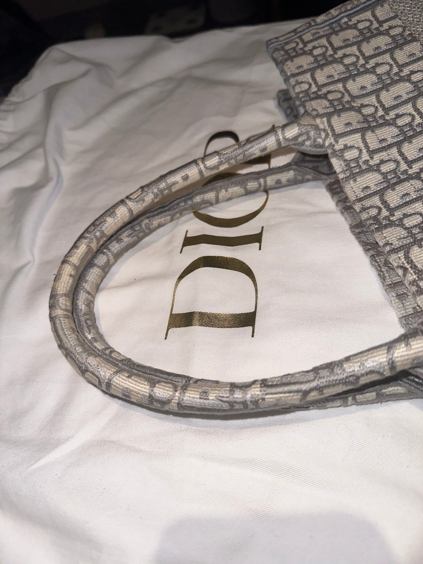 BOOK TOTE DIOR