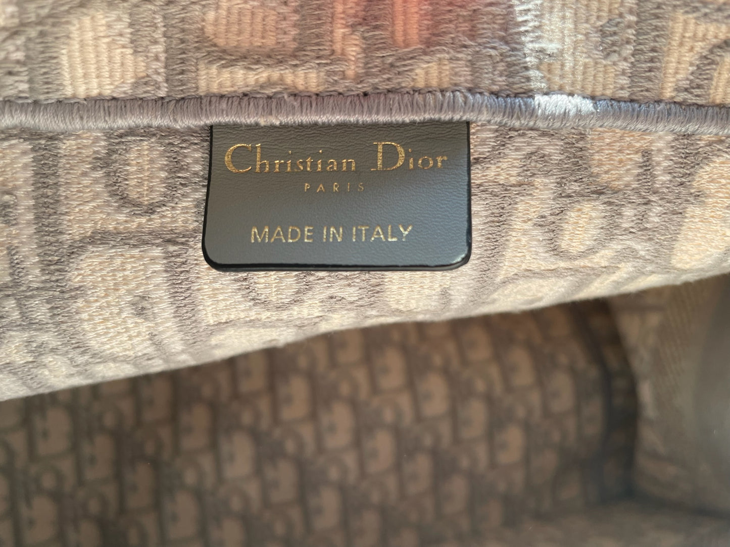 BOOK TOTE DIOR