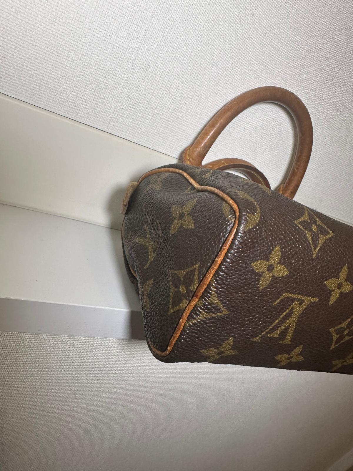 NANO SPEEDY LOUIS VUITTON