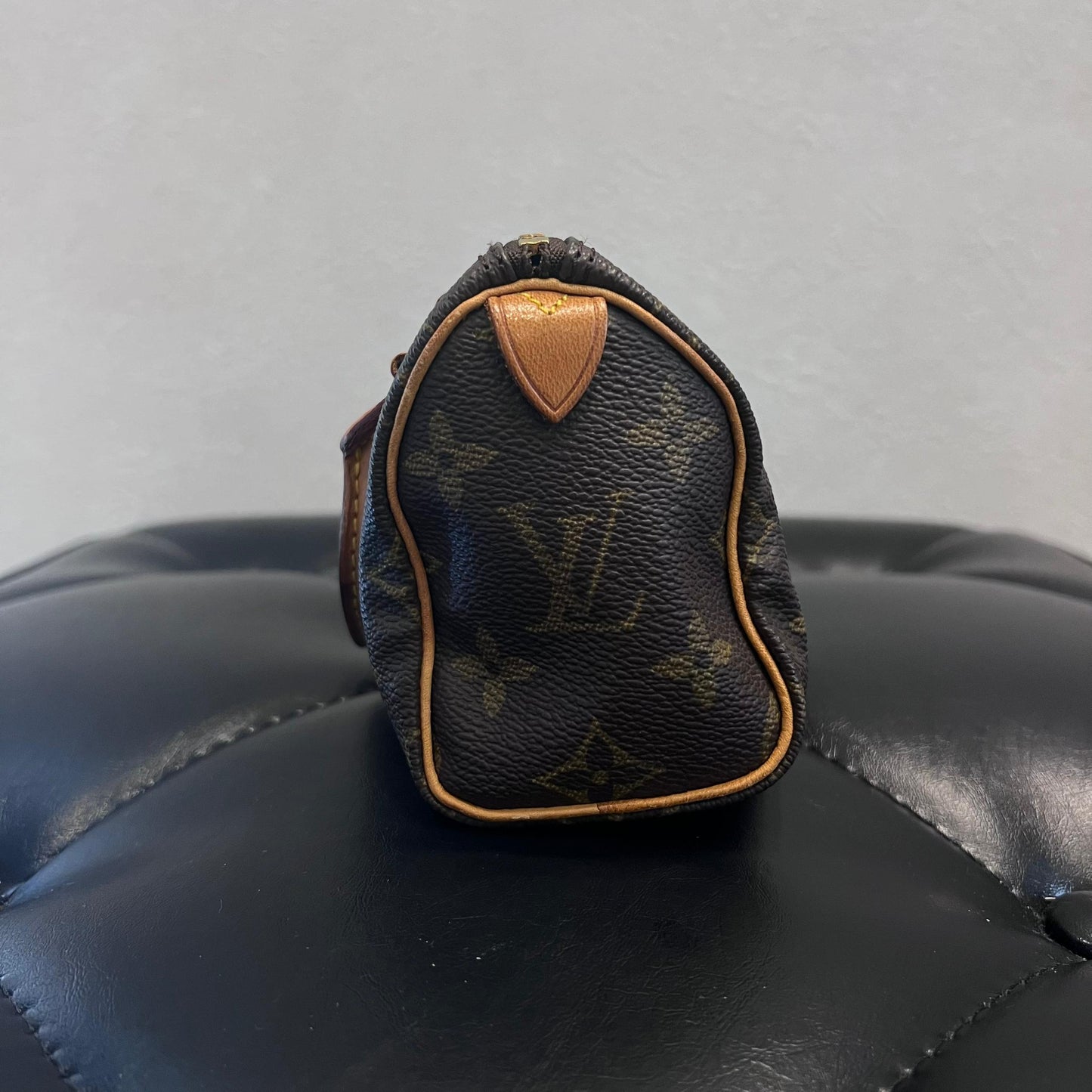 NANO SPEEDY LOUIS VUITTON