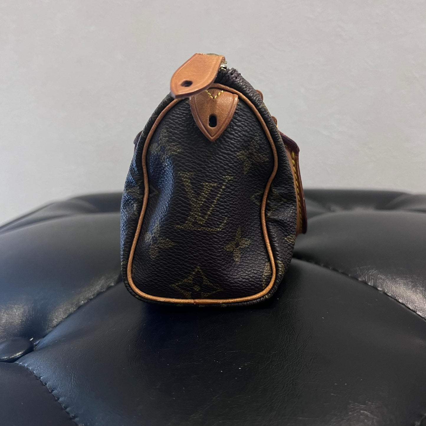 NANO SPEEDY LOUIS VUITTON